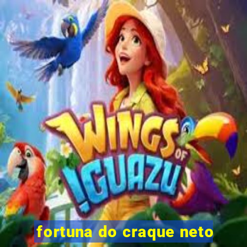 fortuna do craque neto